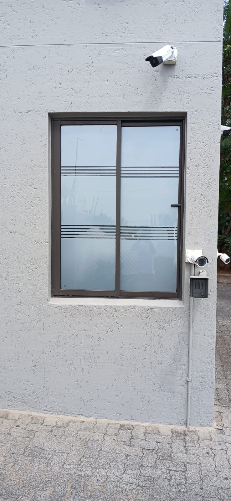 CAR TINT window tinting project