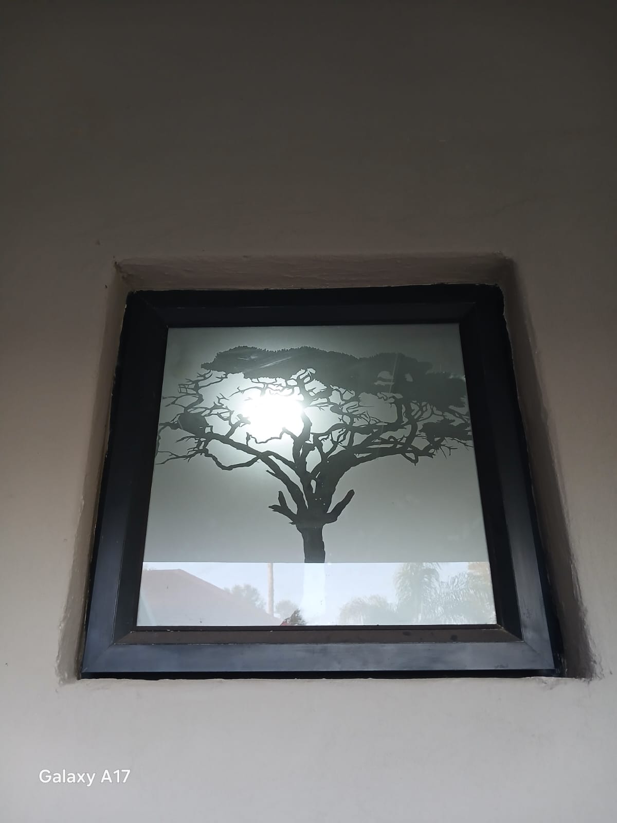 Tintwoxy Africa completed window film installation 12
