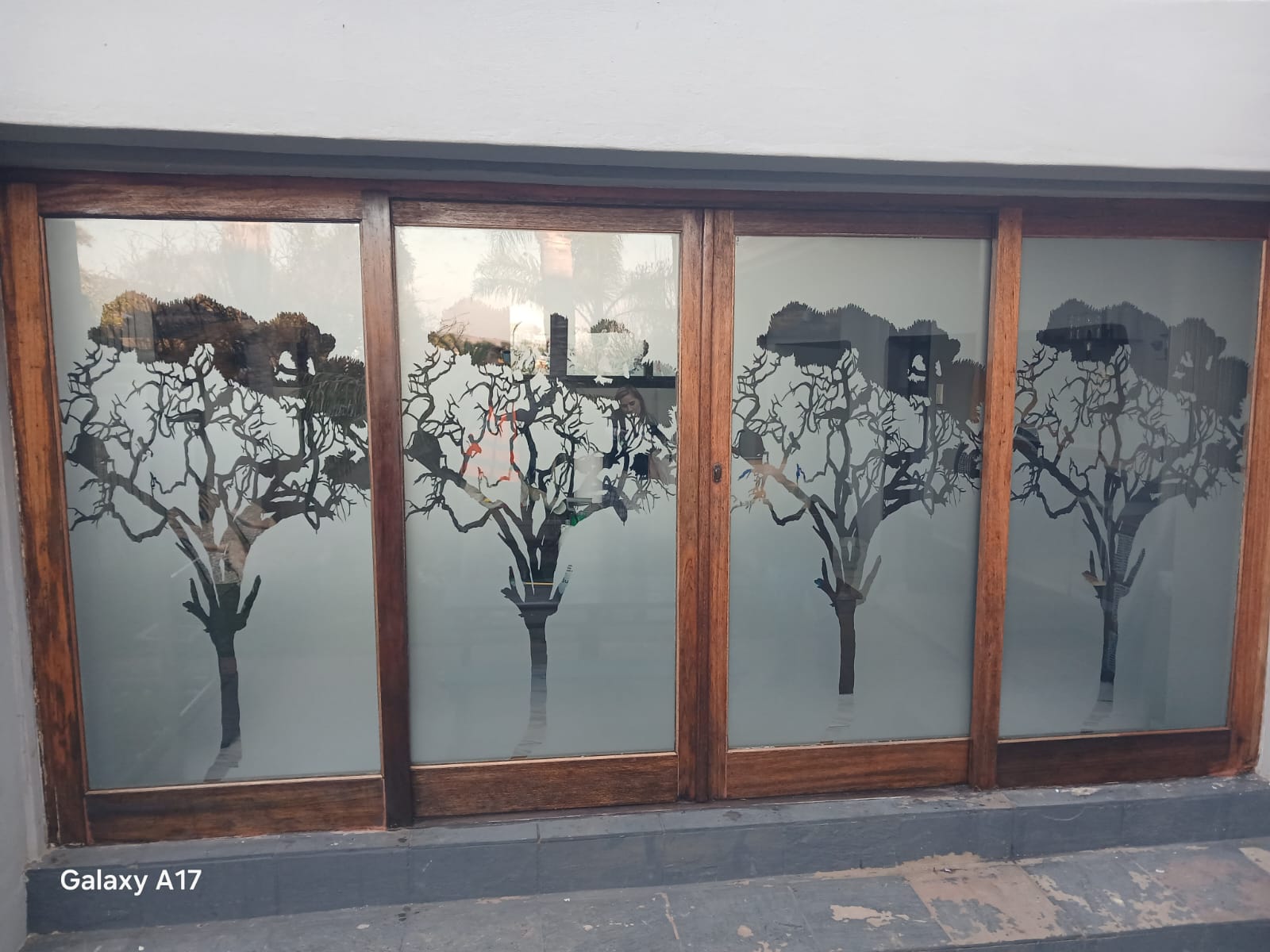 Tintwoxy Africa completed window film installation 15